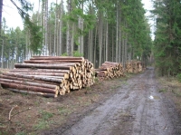 Vyparovani4.jpg